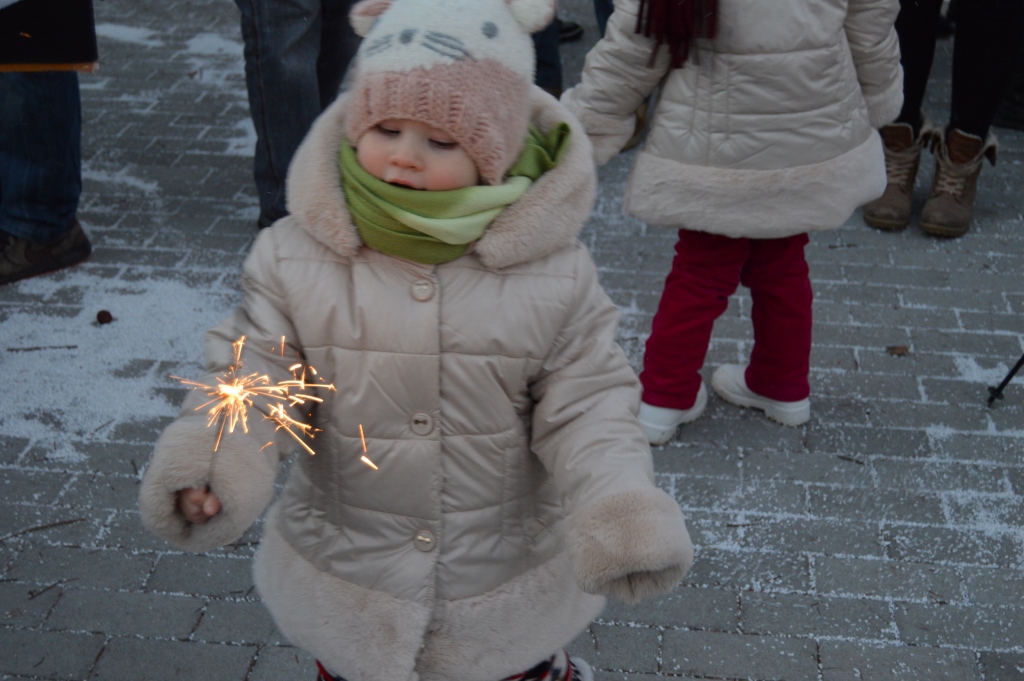 DSC_0470 (1024x681)