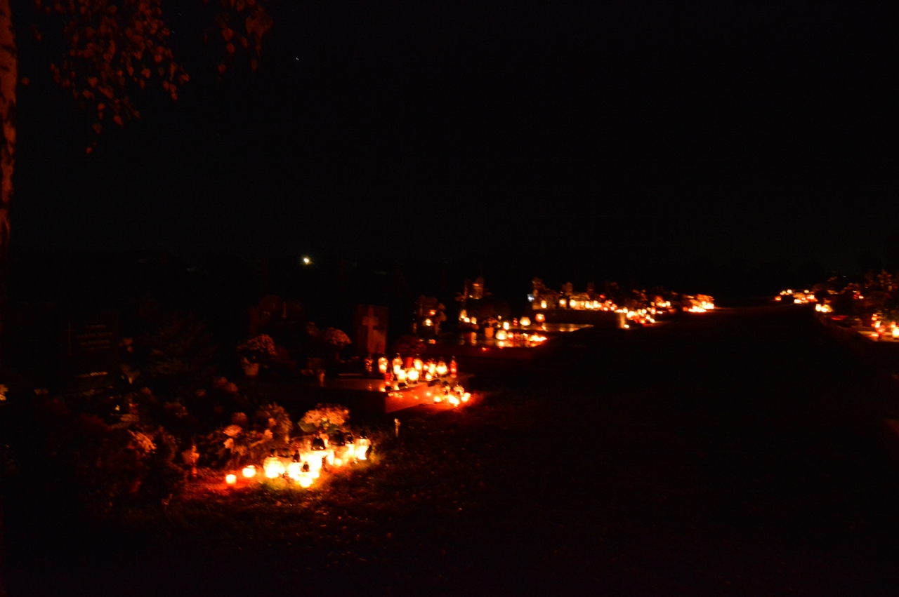 DSC_004 (1)